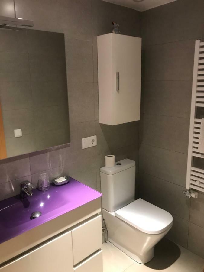 Apartaments Ca L'Albert Pobla de Segur Exterior foto